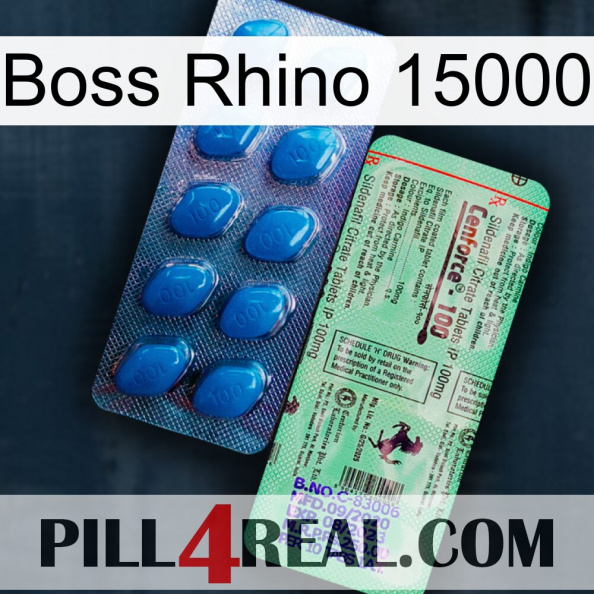 Boss Rhino 15000 new02.jpg